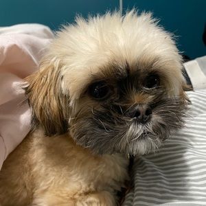 Meet your Posher, Geraldine